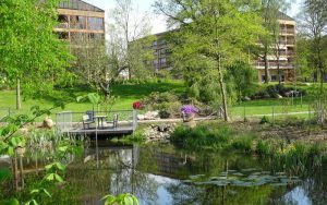 foraar_paa_hjortespring
